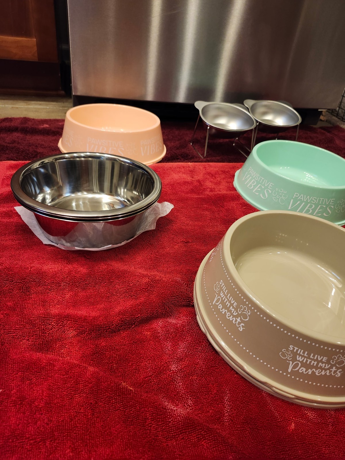 Pet Feeding Bowls. Set of 2. (Large, Small, Plastic or Elevated). FREE SHIPPING!
