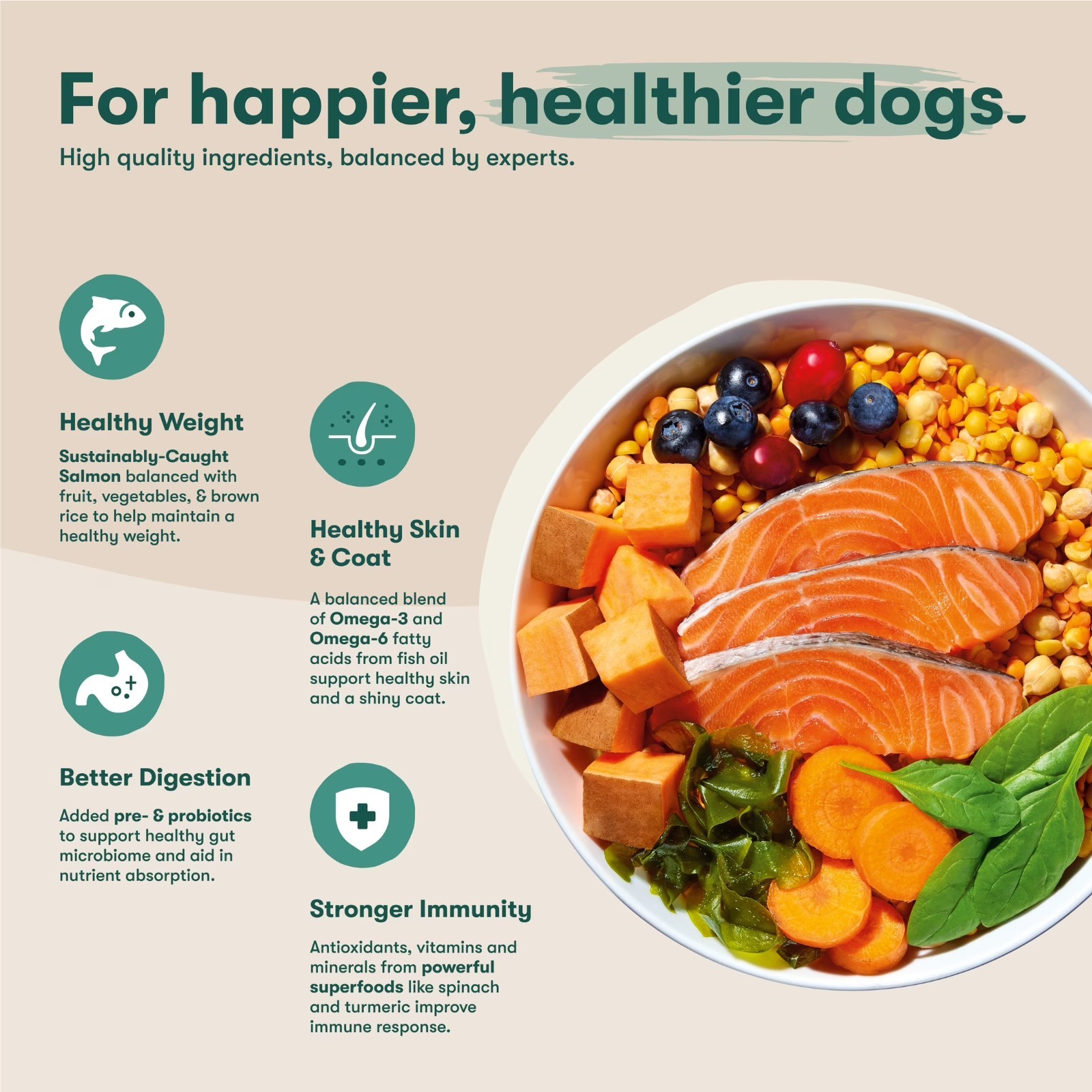 Jinx Grain Free Atlantic Salmon Sweet Potato Dry Dog Food 23.5 lb