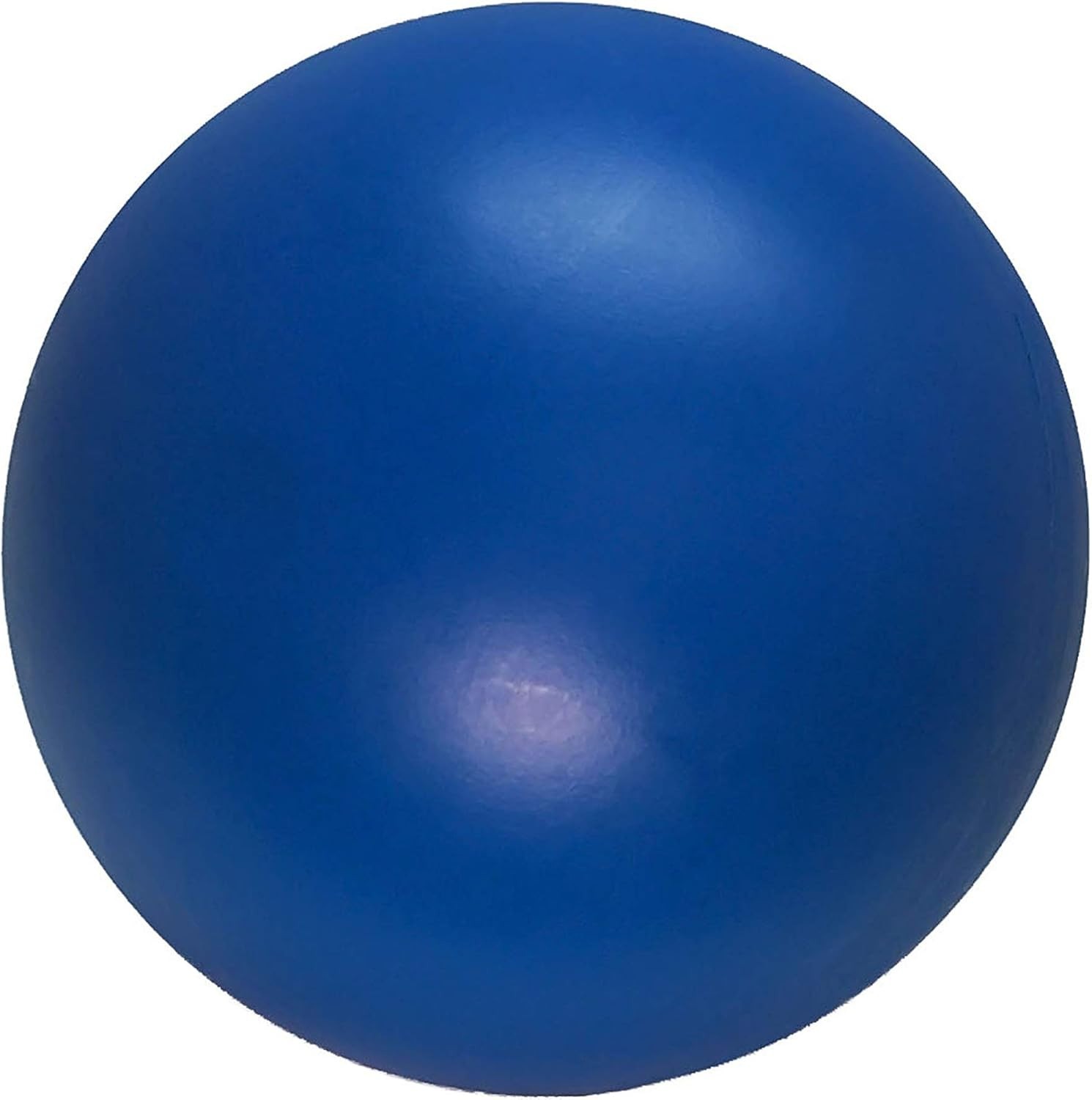 Virtually Indestructible 10-Inch Dog Ball for Active Large Breeds – Floating Toy