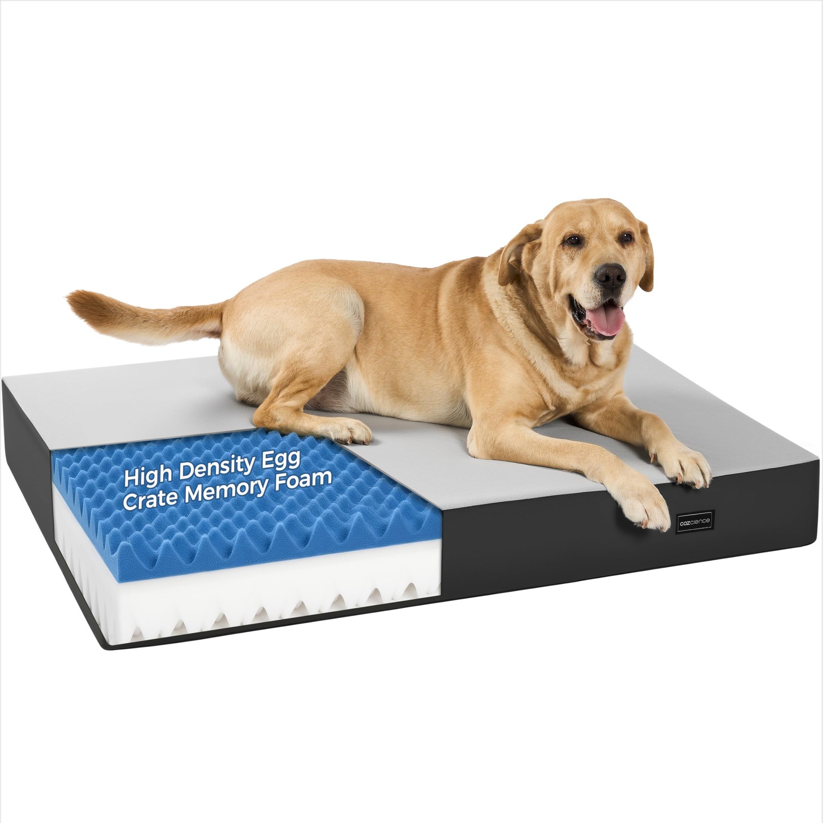5 Inch Thick Orthopedic Dog Bed for Medium & Large Dogs, High Density Egg Cra…
