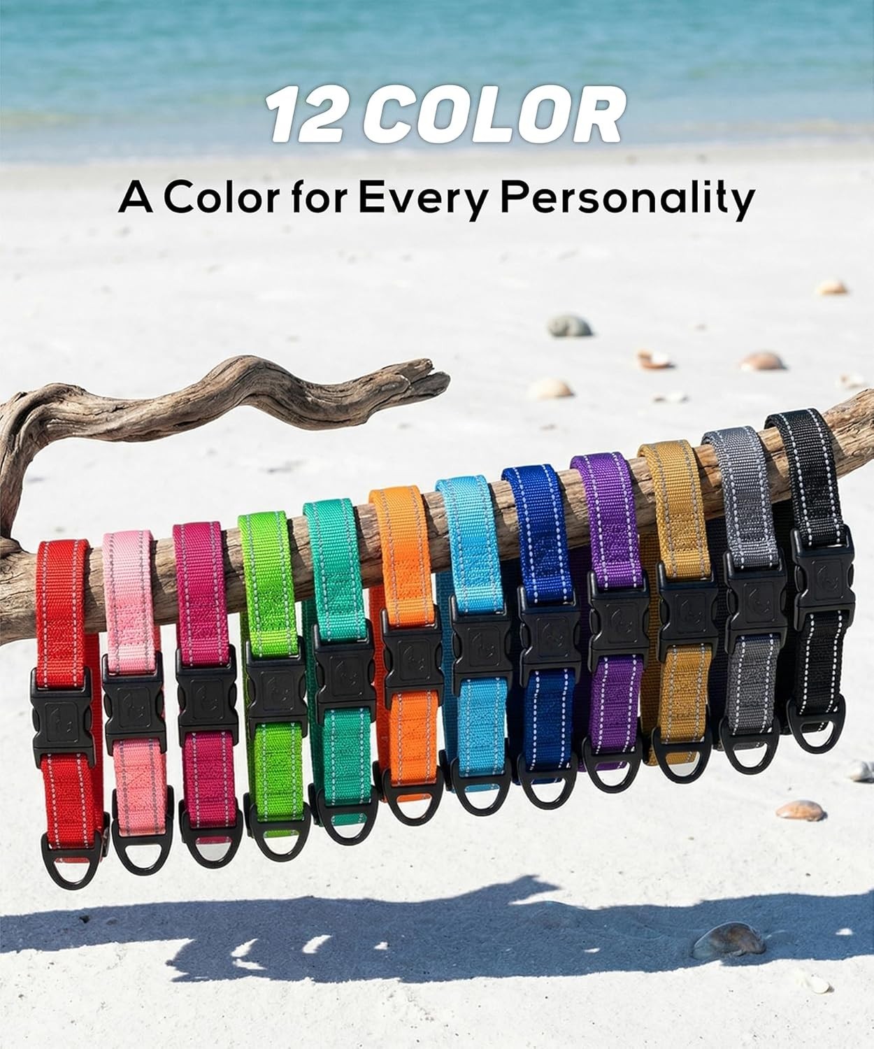 High-Visibility Reflective Dog Collar for Medium Breeds – Soft Nylon & Stylish