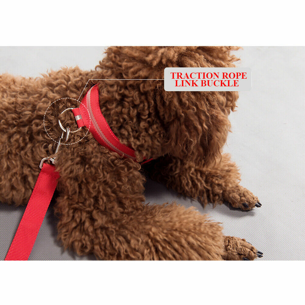 Adjustable LED Dog Waterproof Nylon Collars Night Safety Light Flashing Collar