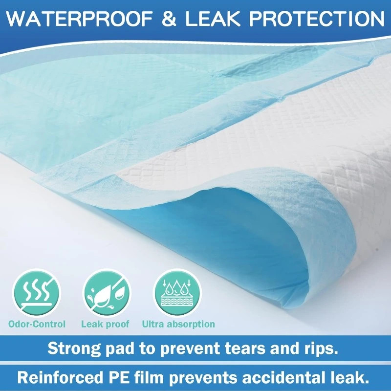 Heavy Water Absorbent Dog Training