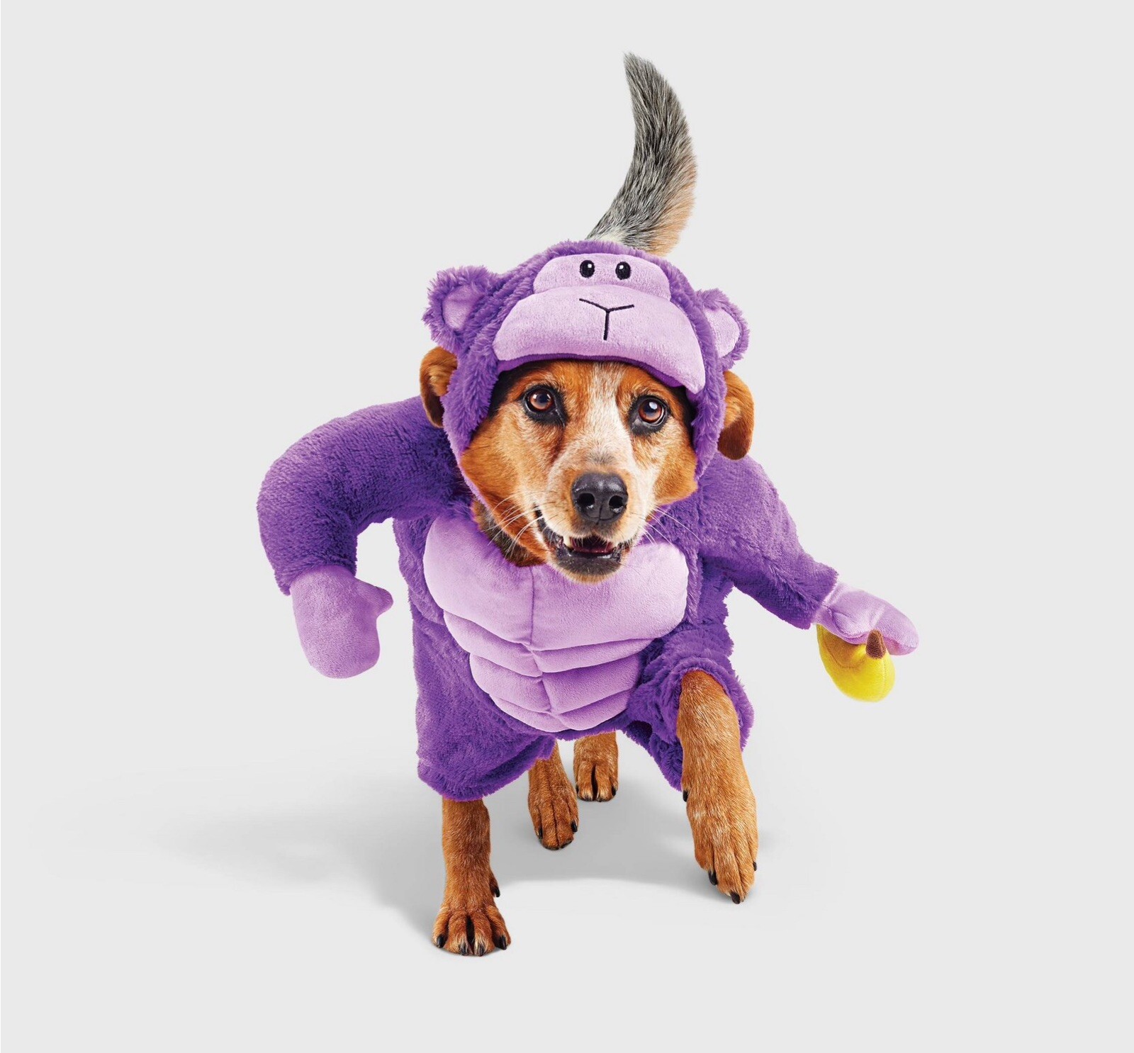 🎃 Hyde & EEK Gorilla Dog Frontal Costumer Medium Purple 🆕AS SHOWN