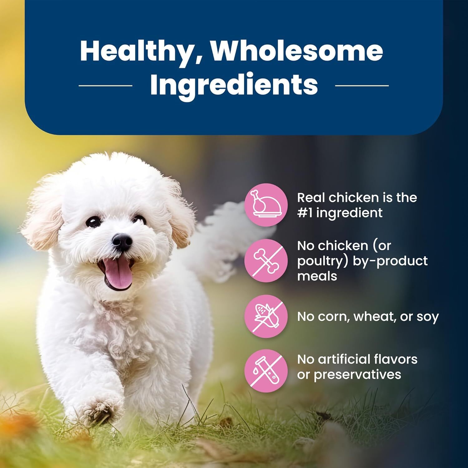 Blue Buffalo Life Protection Formula Small Breed Dry Dog Food Chicken Brown Rice
