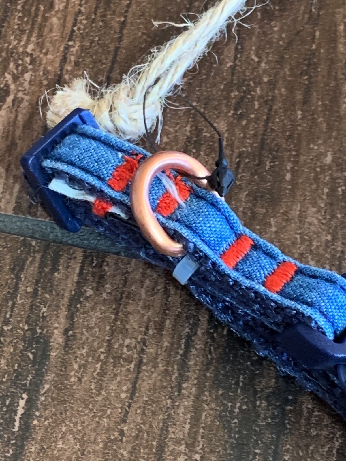 New Levi’s x Target Limited Edition Denim Dog Collar For Xtra Small XS Dogs