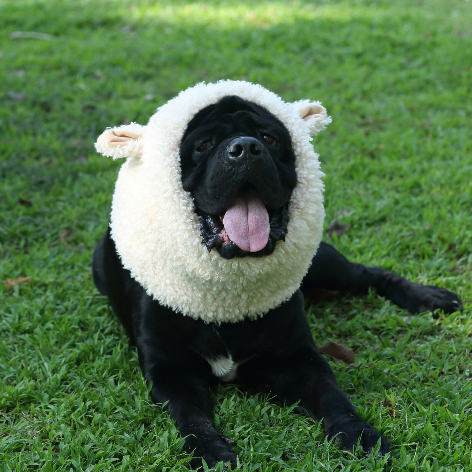 Lion Mane for Dogs, Funny Halloween Costume Apparel for Dogs, Snoods for Dogs