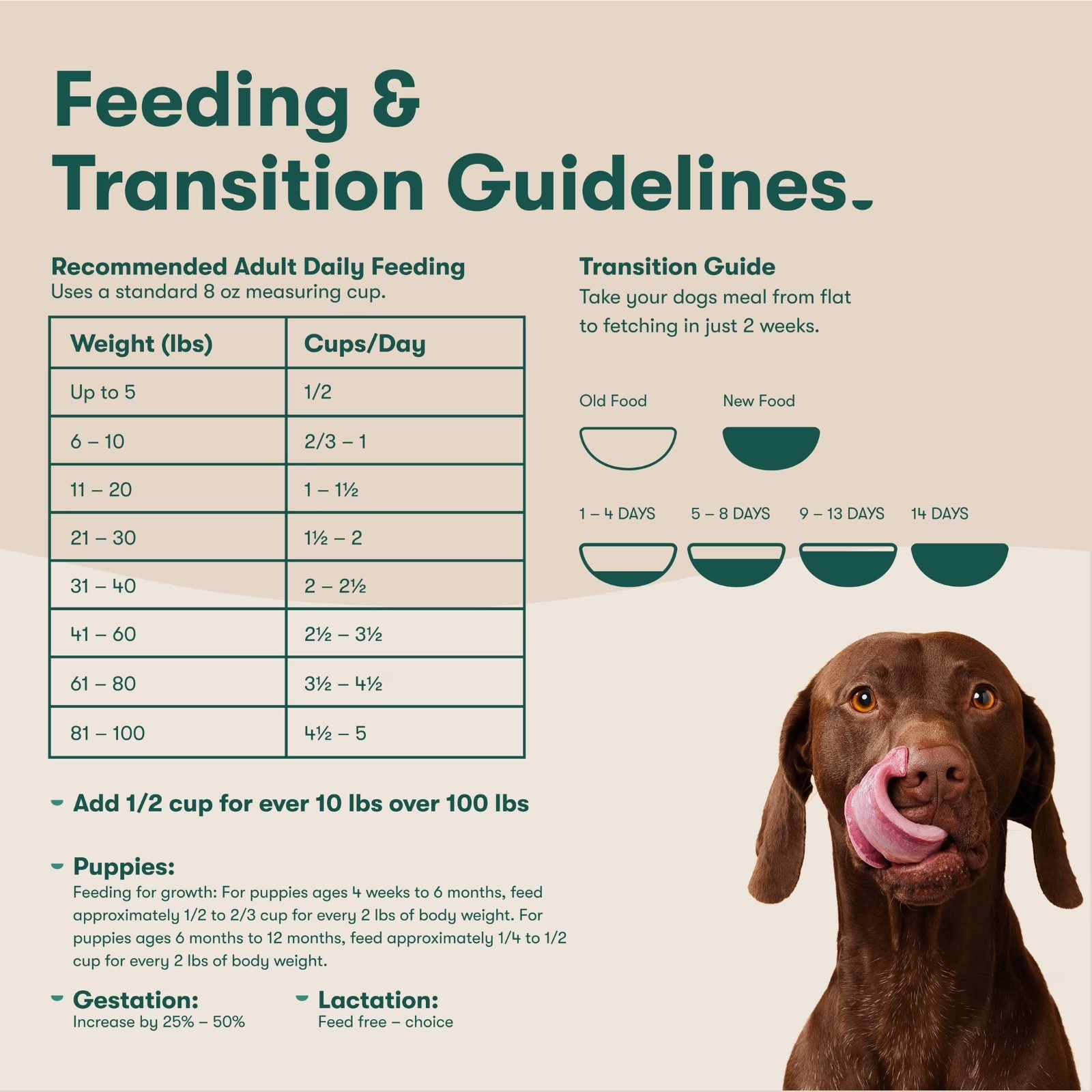 Jinx Grain Free Atlantic Salmon Sweet Potato Dry Dog Food 23.5 lb