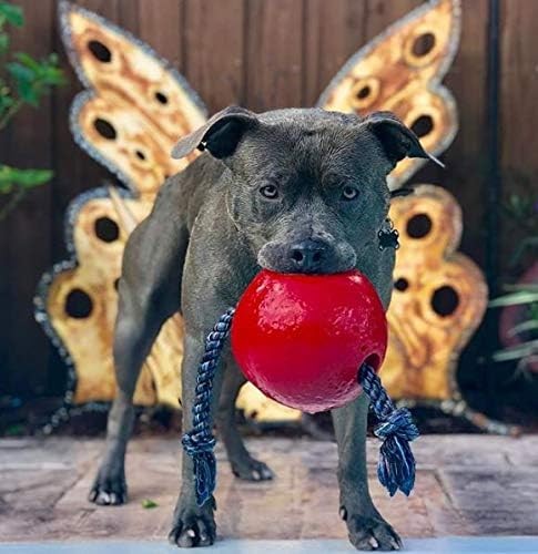 Jolly Pets Romp-n-Roll 6 inch Red Rubber Ball with Rope for Dogs
