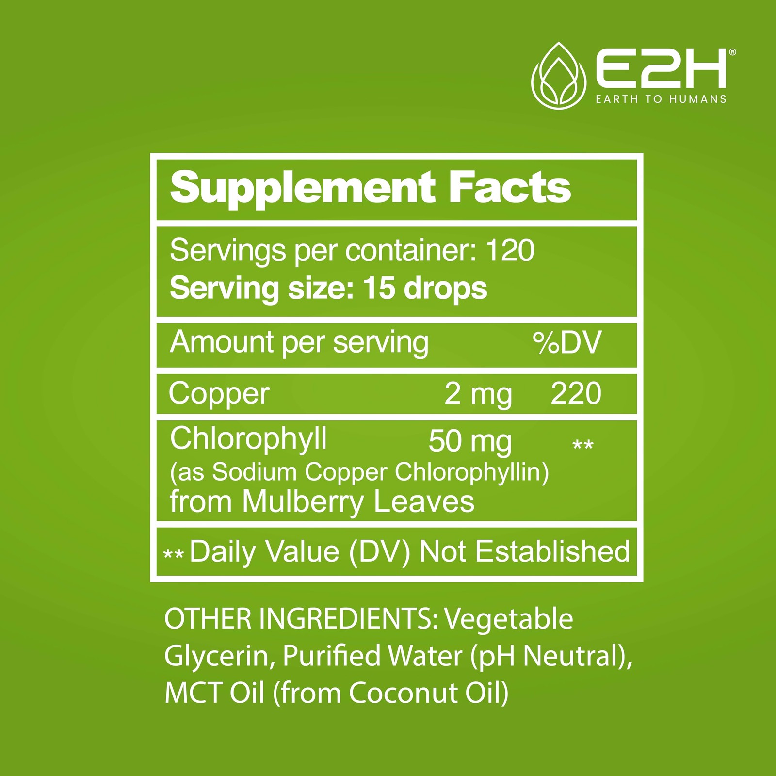 E2H Chlorophyll Liquid Drops – Natural Energy, Immune Support, Digestion, Skin