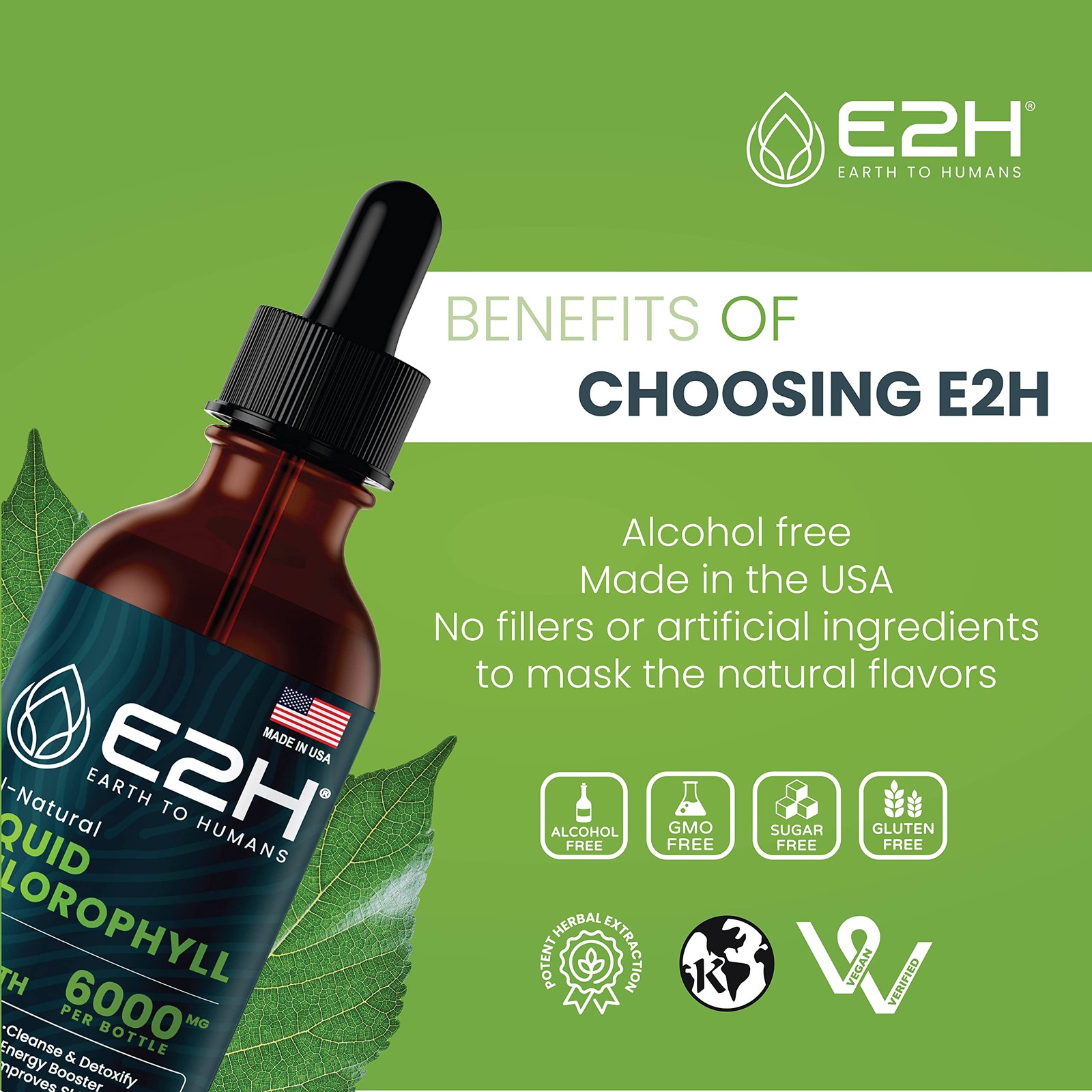 E2H Chlorophyll Liquid Drops – Natural Energy, Immune Support, Digestion, Skin