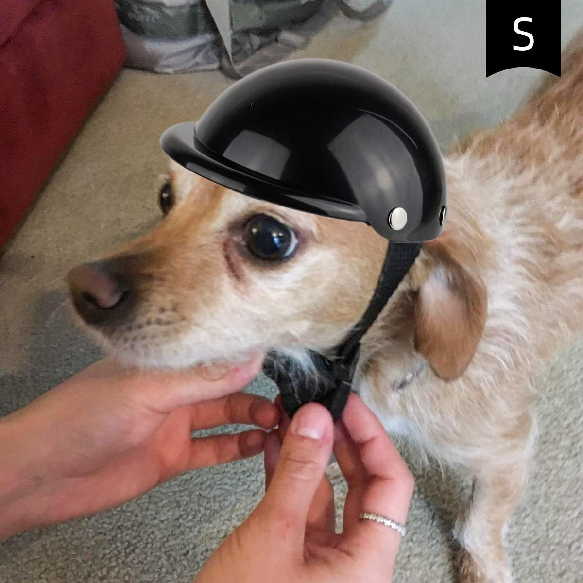 Dog Helmet for Small Dogs, Motorcycle Dog Helmets Chihuahua Helmet, Outdoor Bike