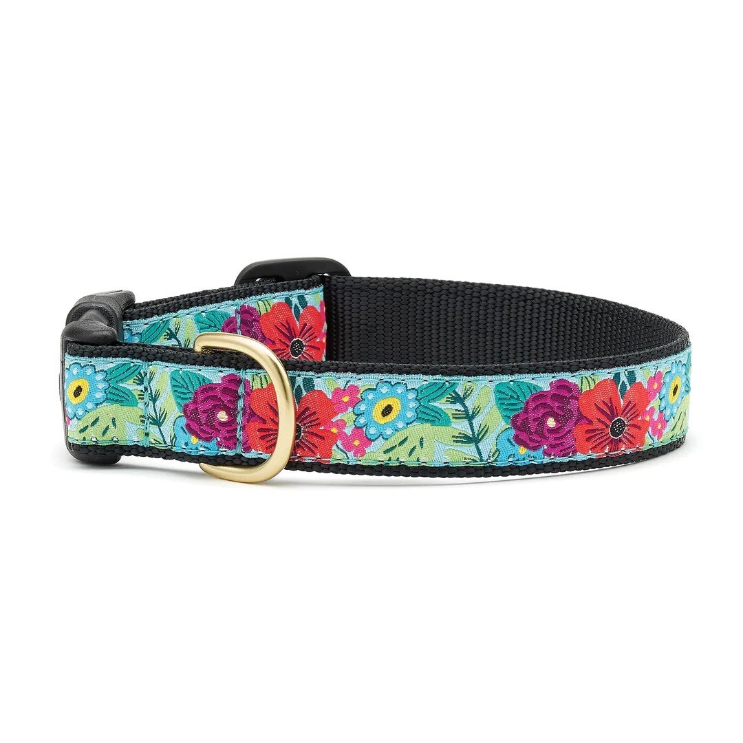 Up Country Dog Collar Made In USA Flower Story Adjustable XS S M L XL XXL