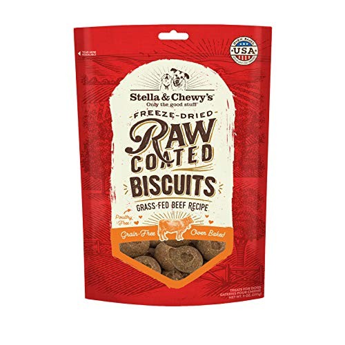 Freeze-Dried Raw Coated Biscuits Dog Treats 9 Ounce (Pack of 1) Beef