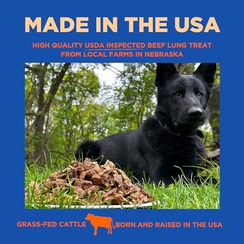PAWW CHEW Beef Lung Dog Treats – 100% Natural, Single Ingredient, (1 Pound) Made