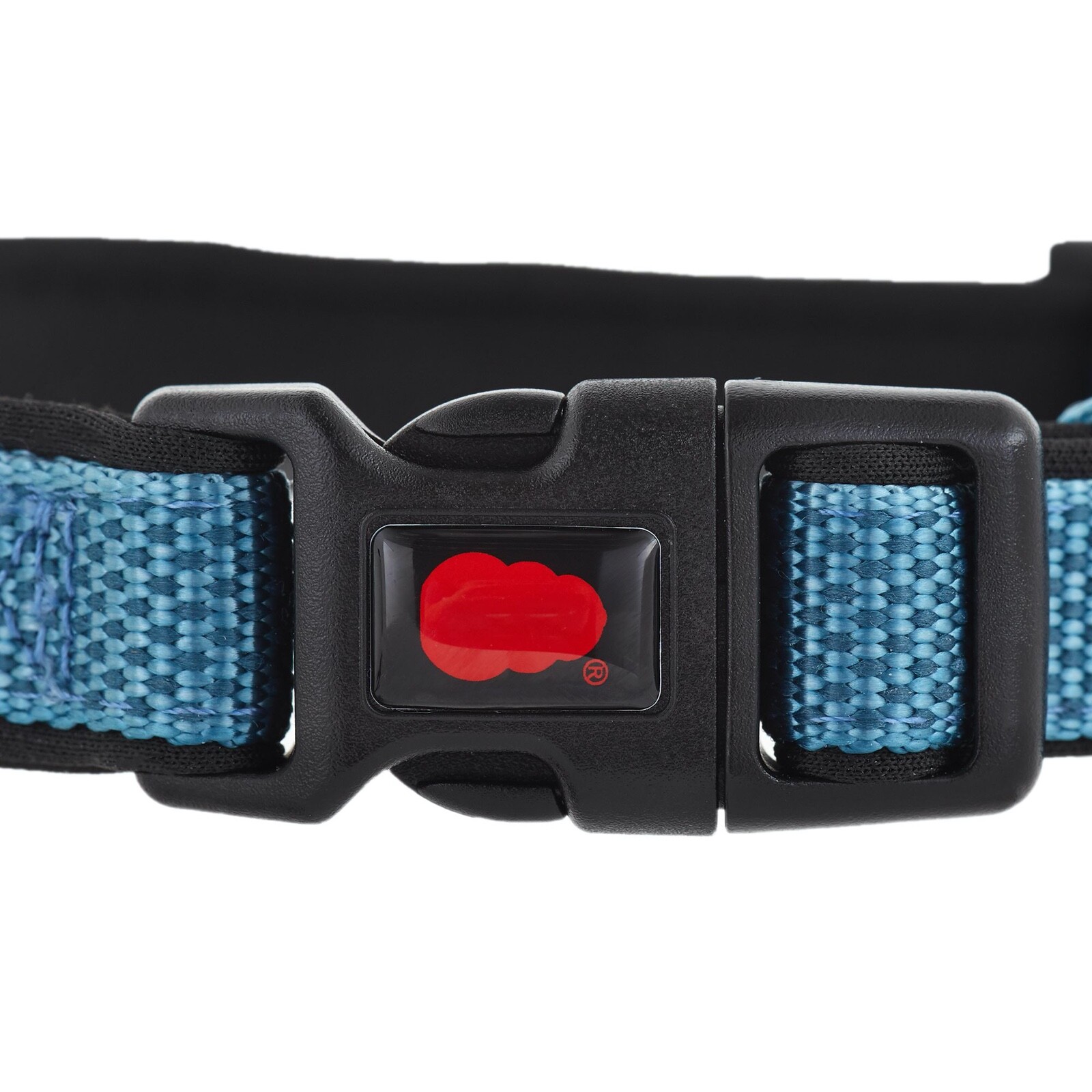 KONG Comfort Padded Dog Collars S M L XL BRAND NEW Assorted Colors! DISCONTINUED