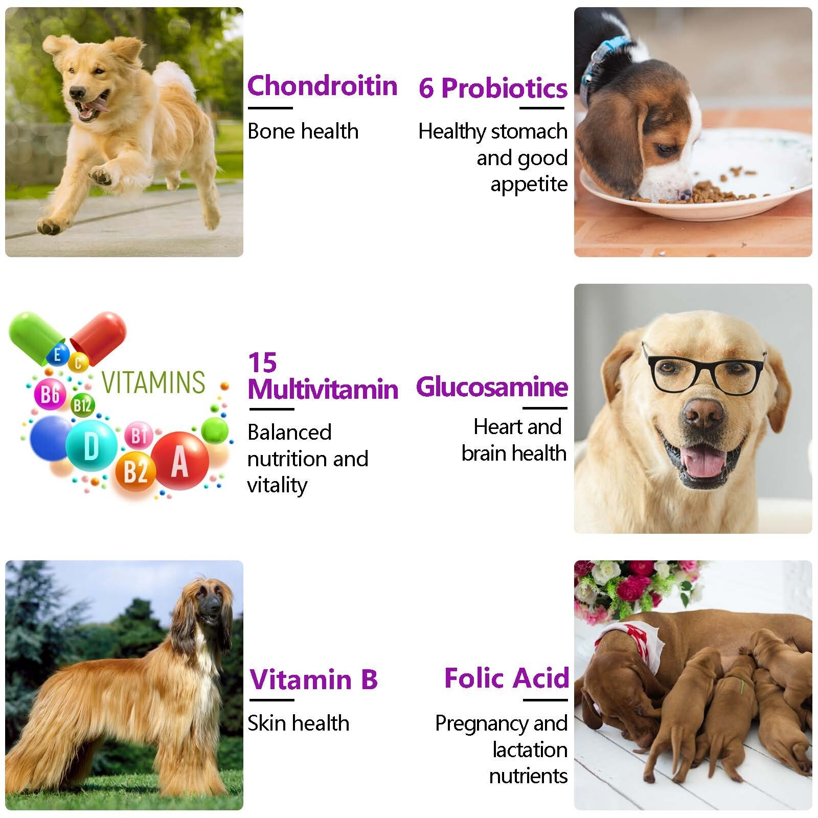 15 in 1 Dog Multivitamins and Supplements, Dog Hip and Joint Supplement,150 Chew
