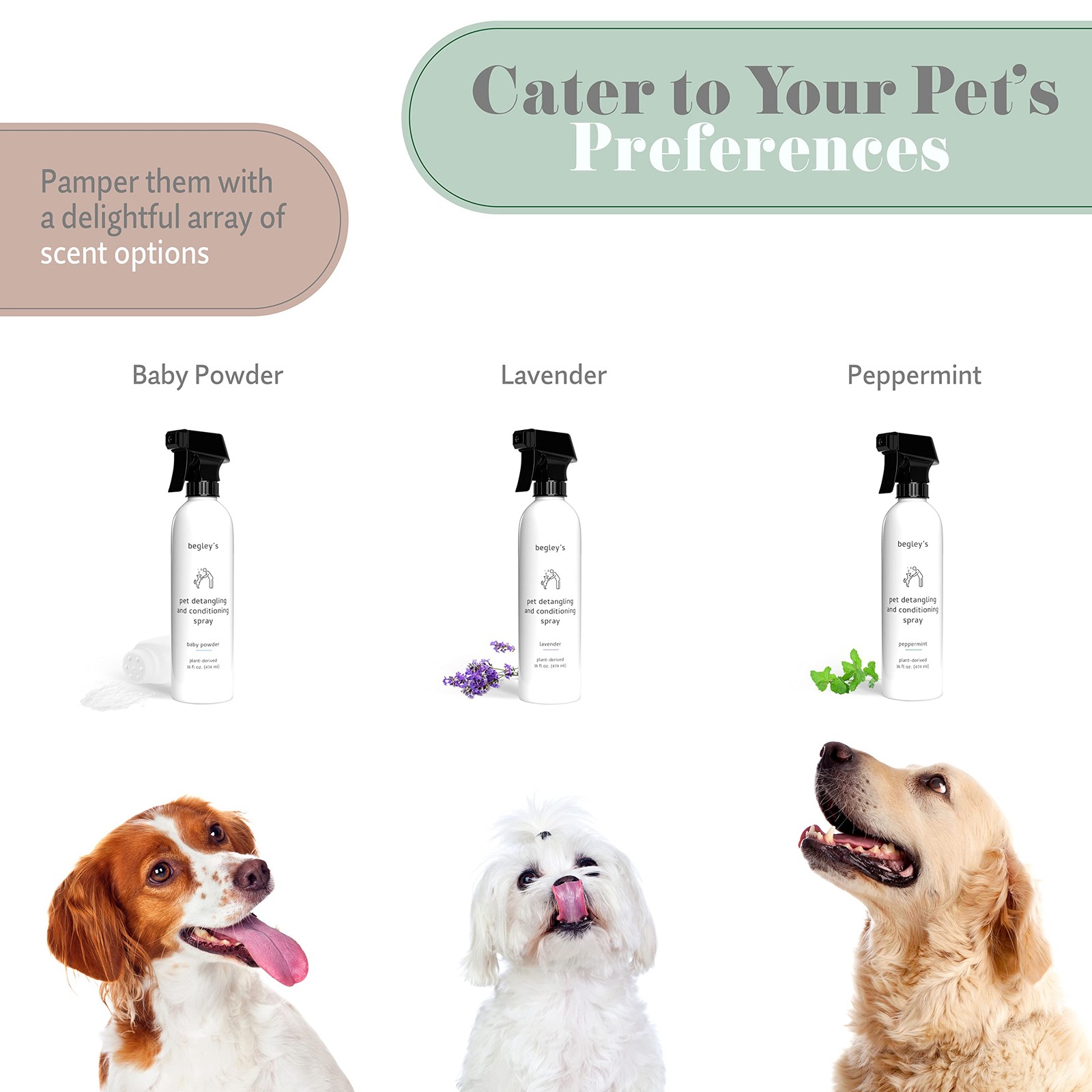 Begley’s Pet Detangling Spray – Premium 16 Fl Oz (Pack of 1), Baby Powder