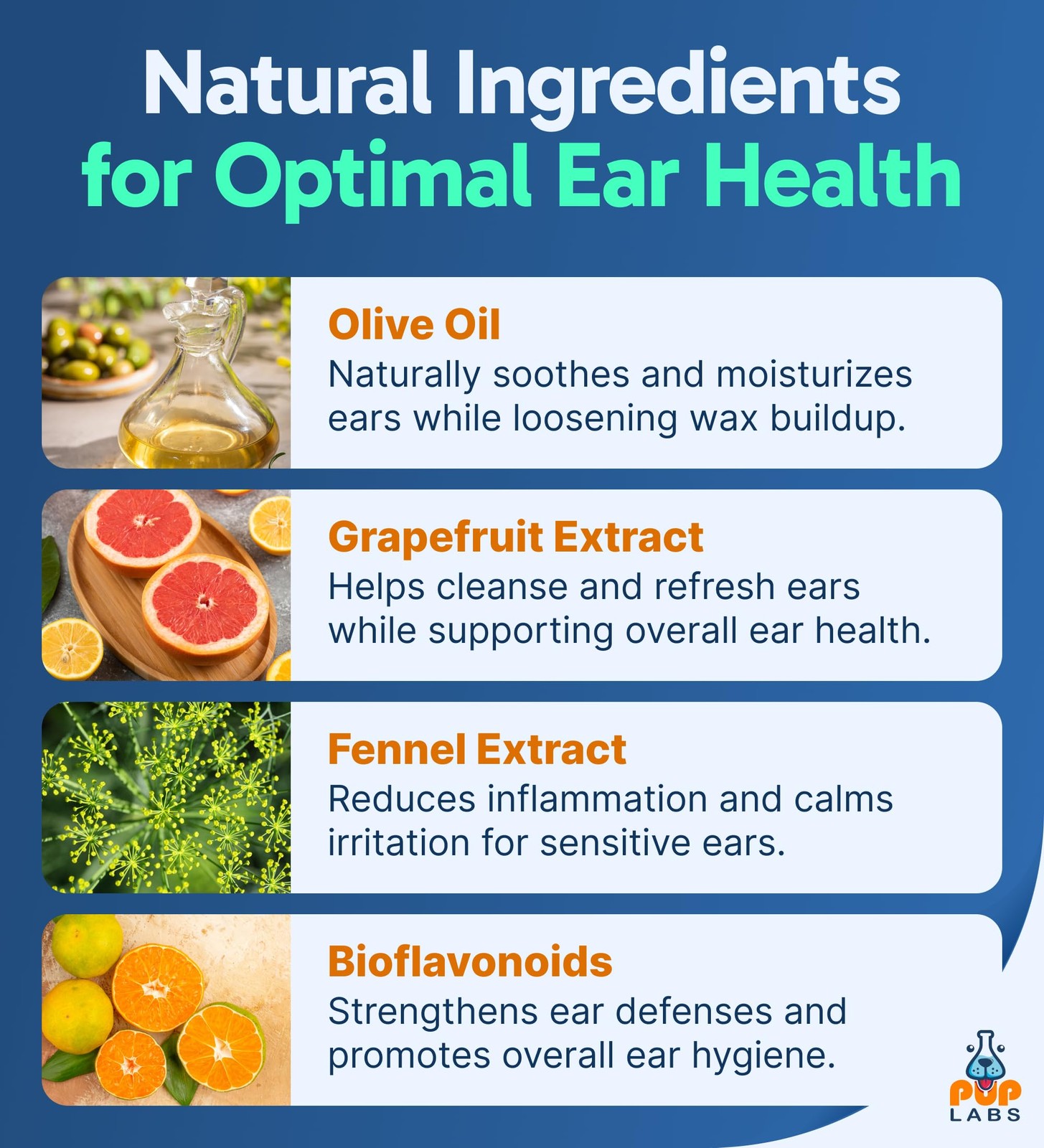 Ear Clear, Natural Dog Ear Cleaner and Infection Treatment for Dogs, Dog Drop…