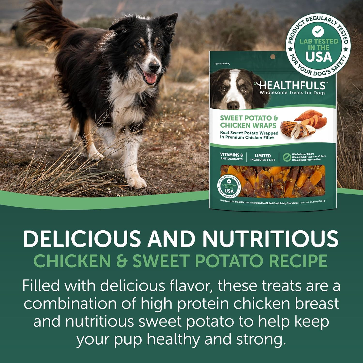 Chicken Wrapped Sweet Potato Dog Treats, 16Oz