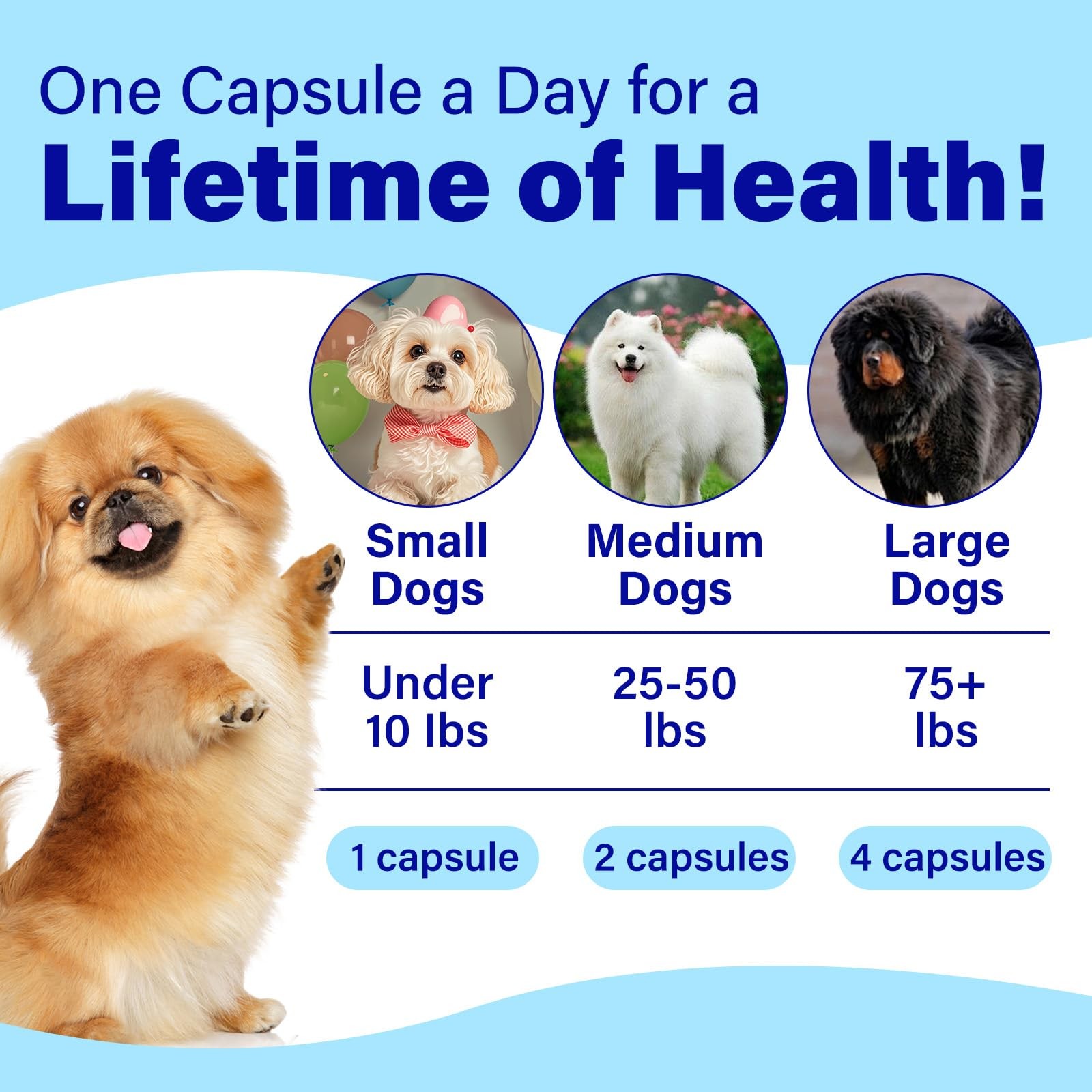 Eye Supplements for Dogs – Vision Support Soft Chews with 90 Ct, White