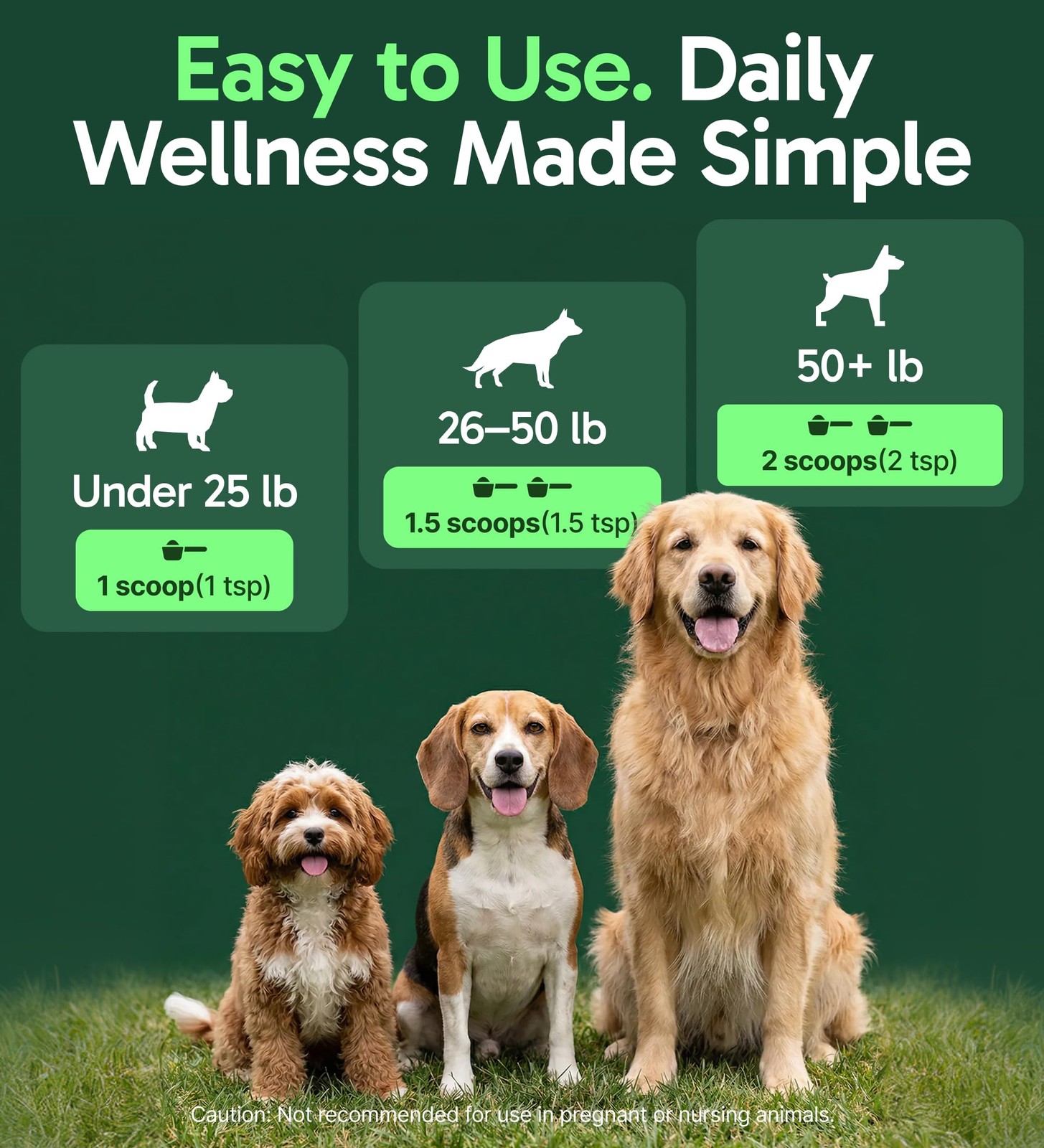Dog Immune Support Powder 30 serv All-Natural Mushroom Dogs Immunity Digestion