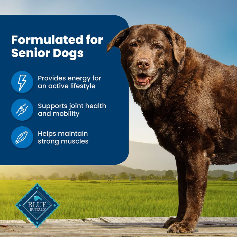 Blue Buffalo Life Formula Senior Chicken & Brown Rice Recipe Dry Dog Food, 30 lb