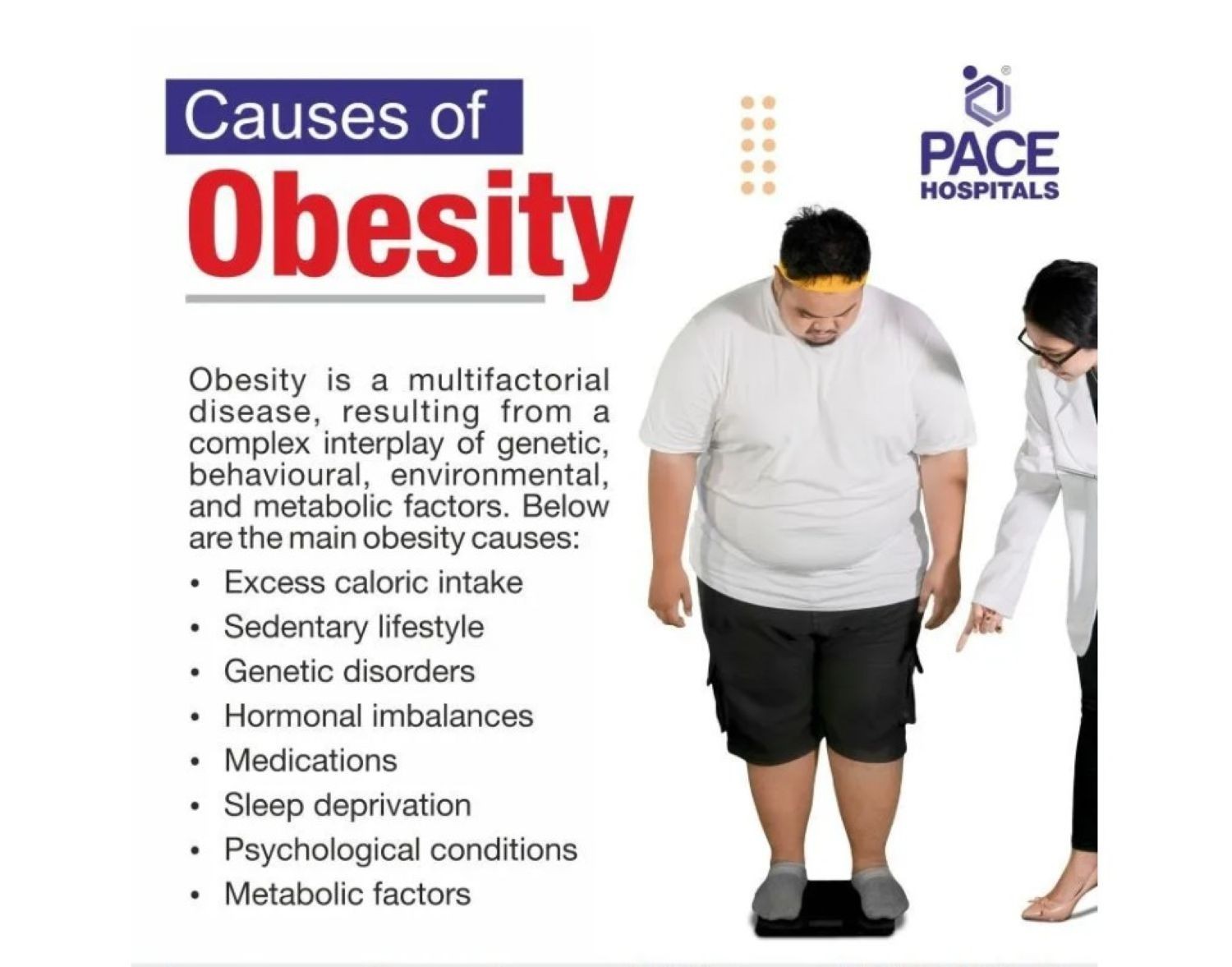 BEST HERBS FOR BELLY FAT BURNER Appetite Suppressants for Weight Loss MADE USA