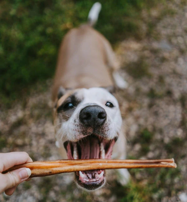 12″ Bully Sticks Standard 100% Natural Beef Excellent Dog Chew USDA FDA Approved