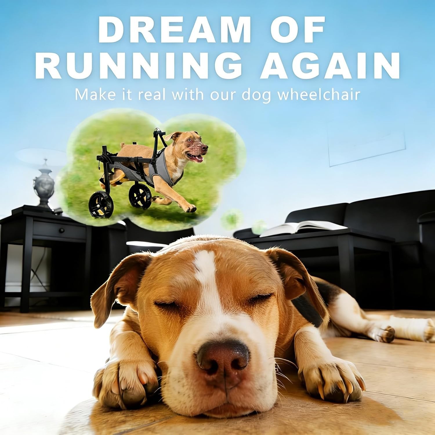 Size M/L – Dog Wheelchair for Back Legs, Adjustable Height/Length/Width