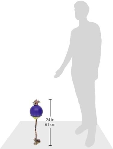 Jolly Pets Romp-n-Roll 6 inch Blueberry Rubber Ball with Rope for Dogs