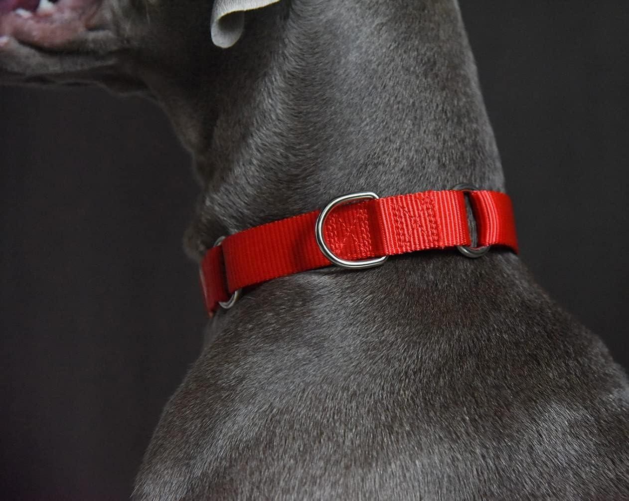 Adjustable Martingale Dog Collar Heavy Duty Nylon Safety Training Design