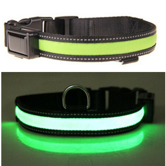 Nylon Dog Collar LED Solar Charging & USB Rechargeable Safety Glow 2 Light Modes