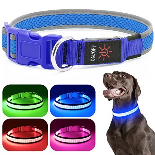LED Dog Collar, Light Up Dog Collar USB Rechargeable, Assorted Colors , Sizes