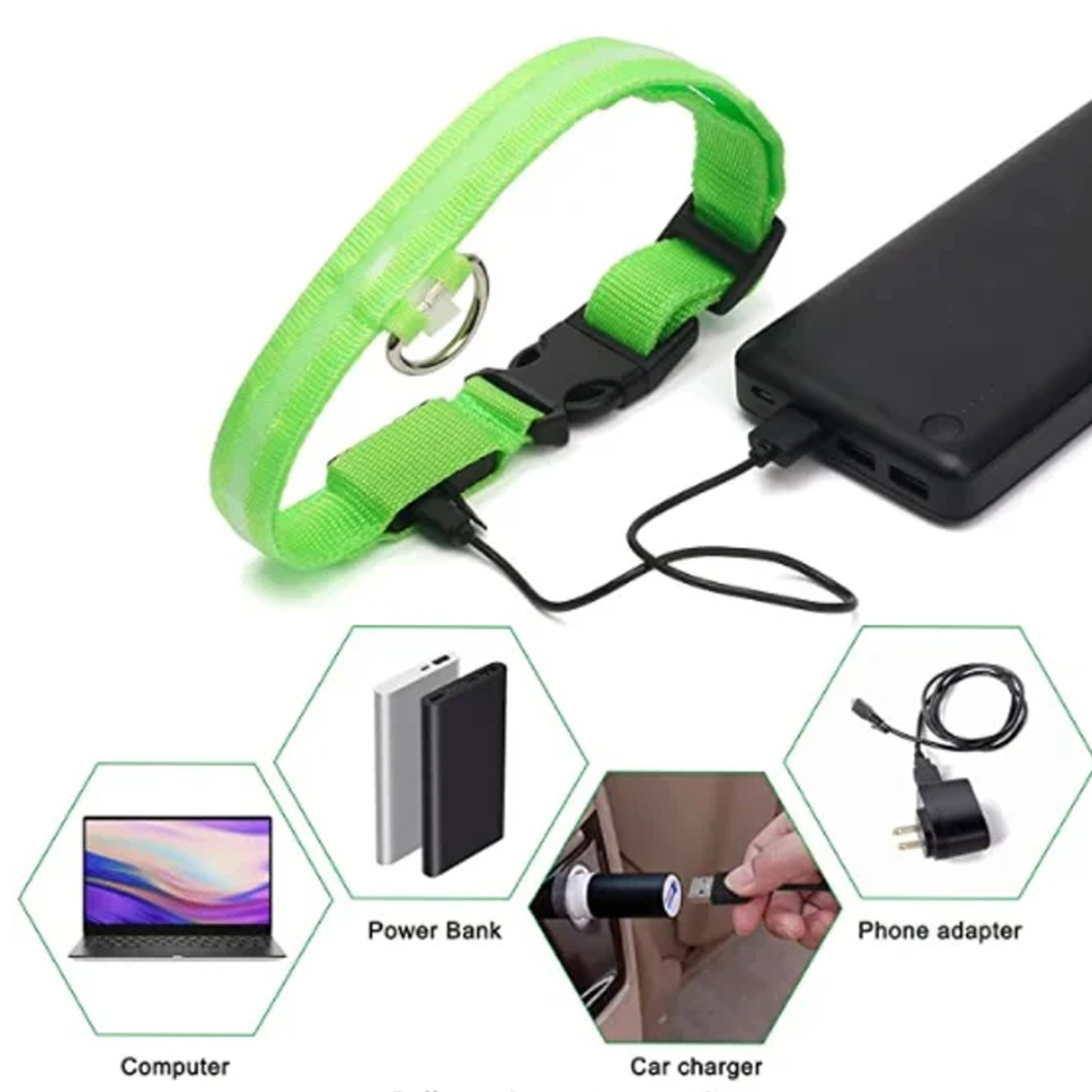 USB Rechargeable LED Dog Collar w/ Pendant – Glowing Safety for Small Dogs & Cat