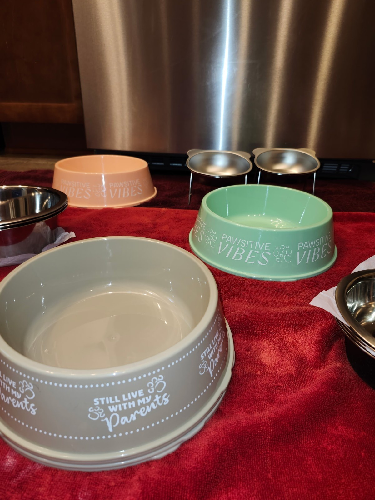 Pet Feeding Bowls. Set of 2. (Large, Small, Plastic or Elevated). FREE SHIPPING!