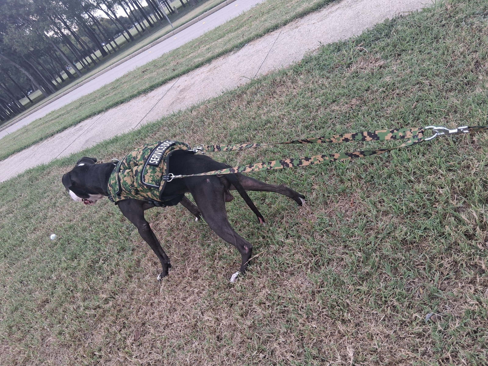 CWS Weighted Dog Vest + Flotation Vest-Medium 12 Pounds Sandbags Only No Sand!!