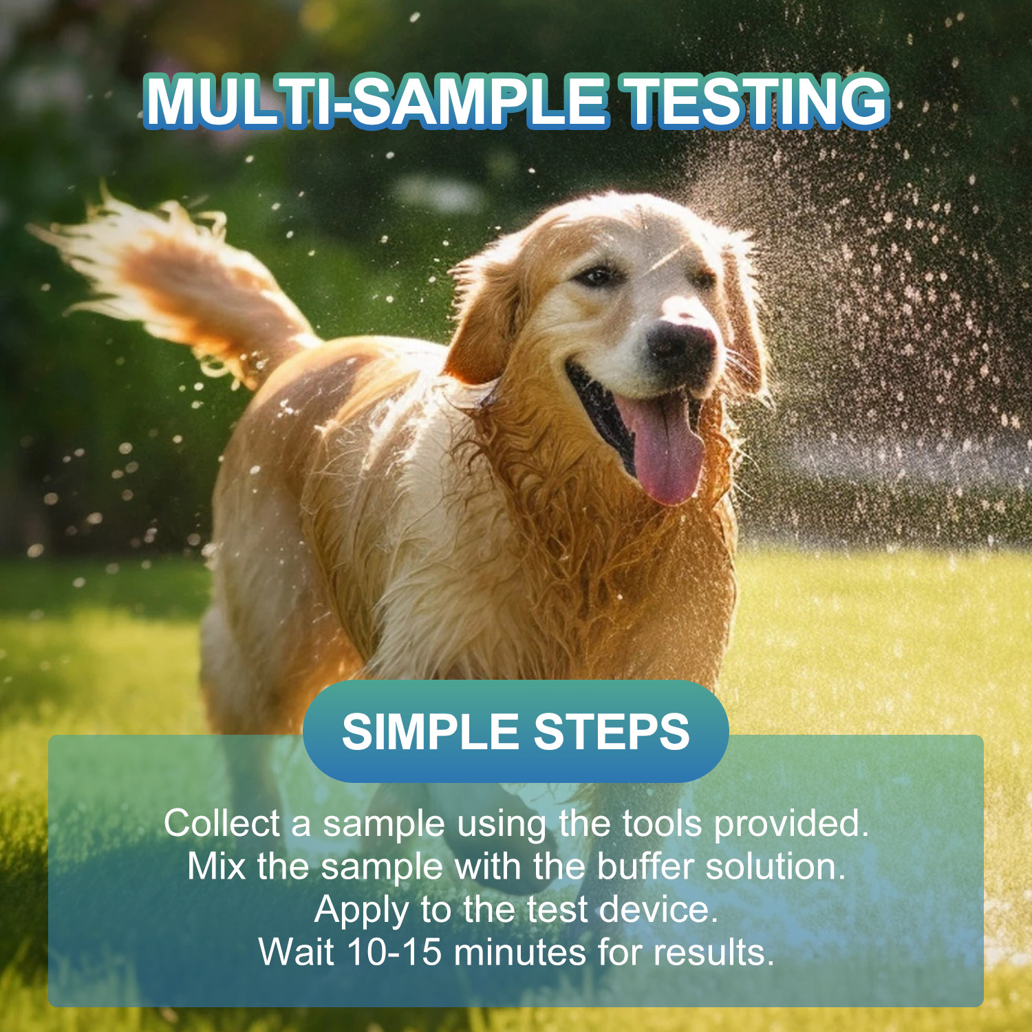 2pcs Canine/Dog 4-in-1 CDV/CPV/CCV/GIA Test Kit Health Pet Rapid test Home Test