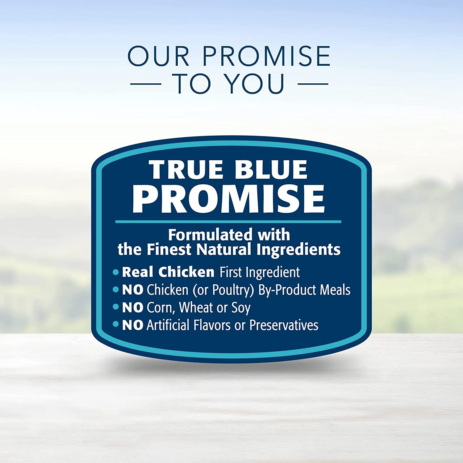 Blue Buffalo Life Protection Formula Natural Adult Dry Dog Food, Chicken and Bro