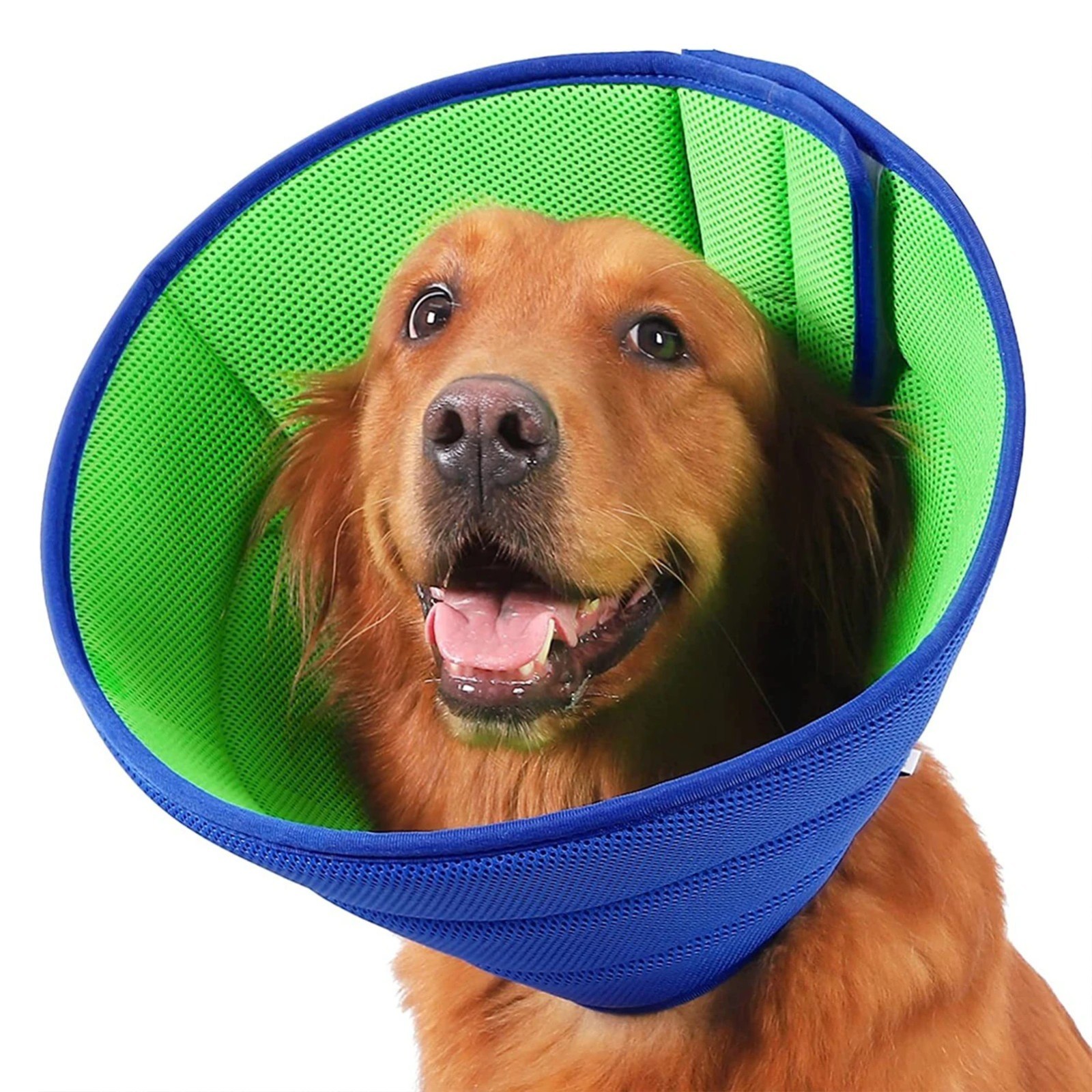 M/L Pet Protection Collar Adjustable Soft Dog Cone Restores Collar And Cone – US