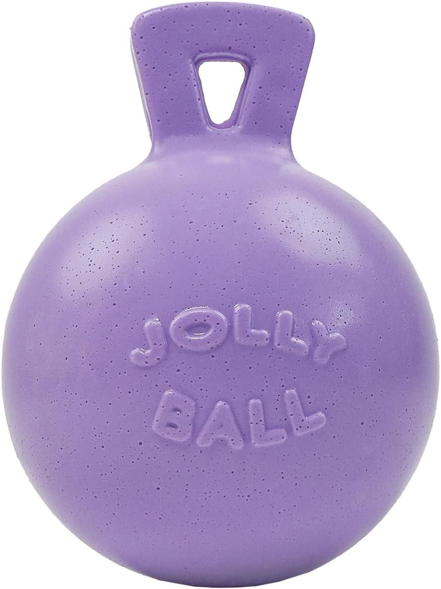 Jolly Pets Tug-n-Toss Heavy Duty Dog Toy Ball with Handle, 8 Inches/Large