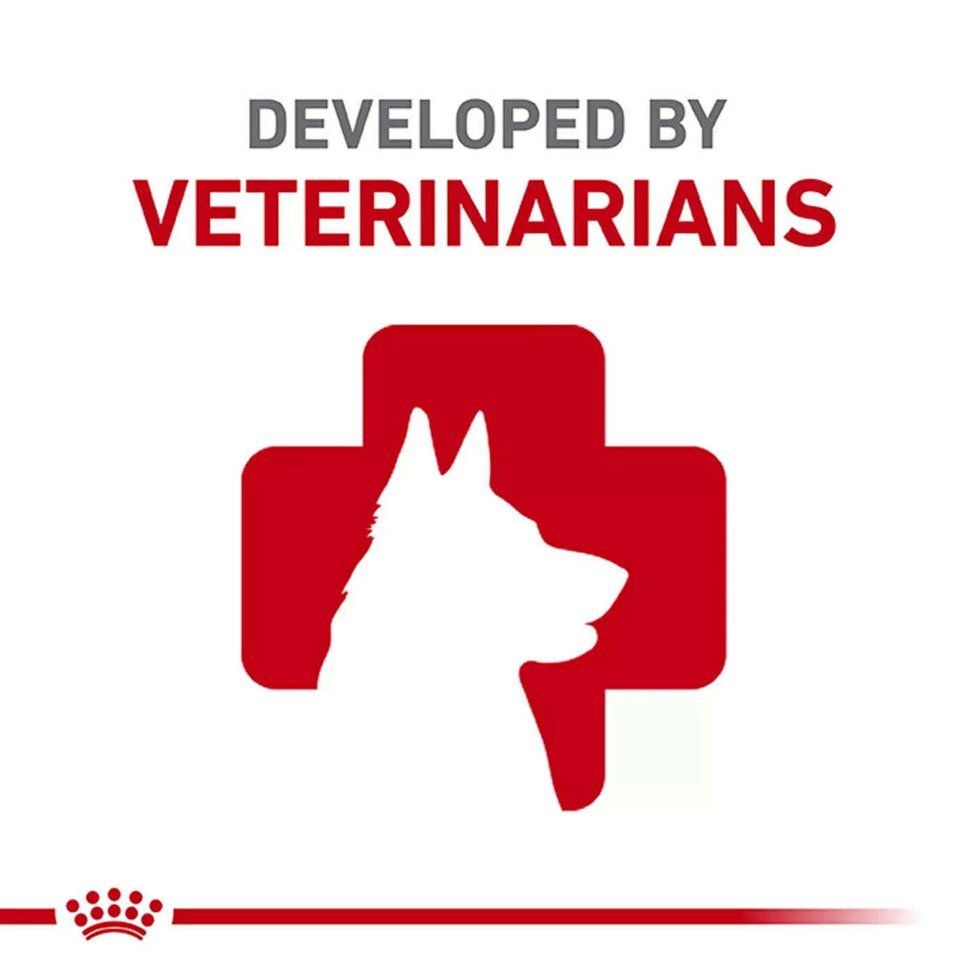 Royal Canin Chihuahua Adult Dry Dog Food Breed Specific Nutrition 2 lb Bag
