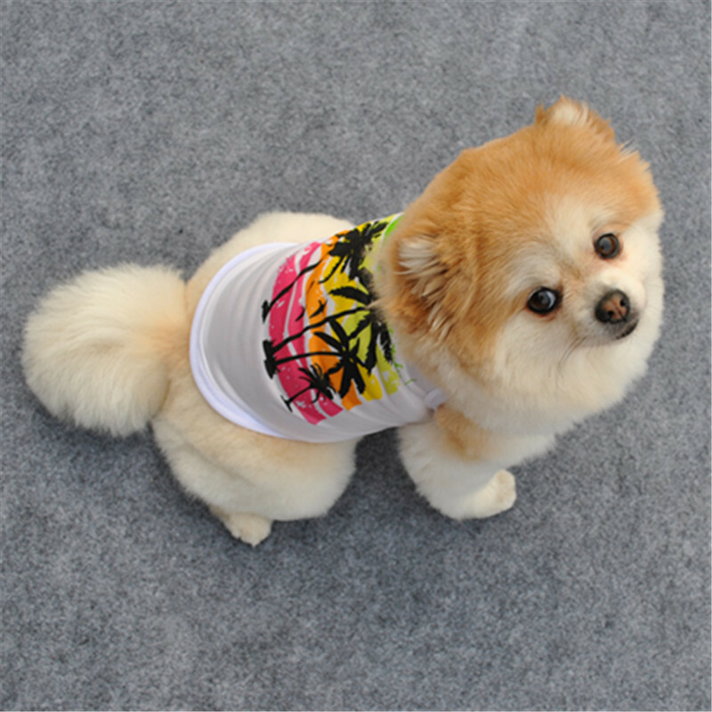 Chihuahua Puppy Sweater Coat Clothes For Small Pet Dog Warm Clothing Apparel USA