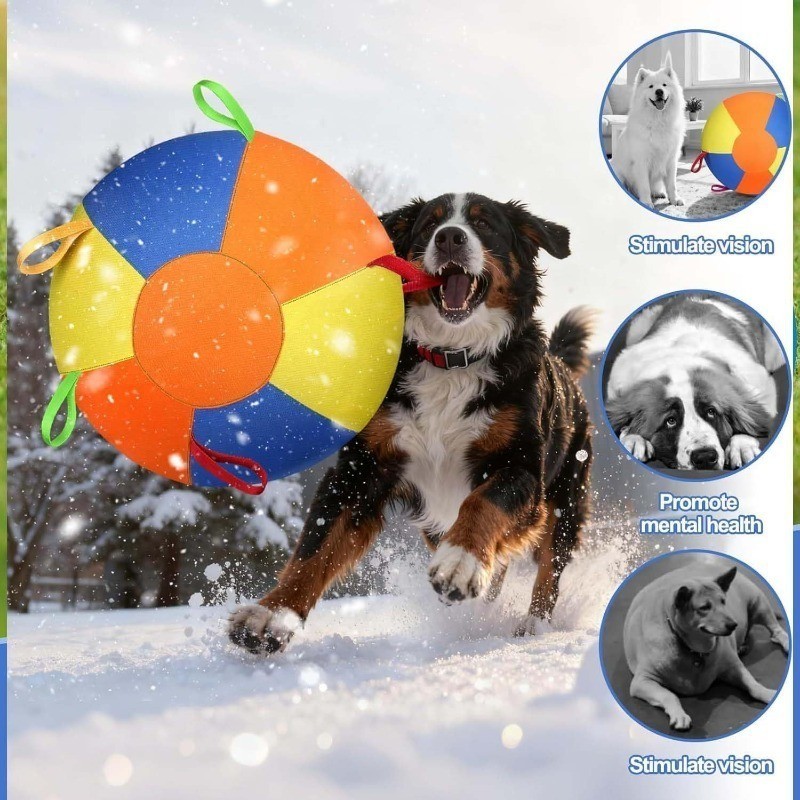 Jumbo Ball, Giant Herding Training Ball for Dogs