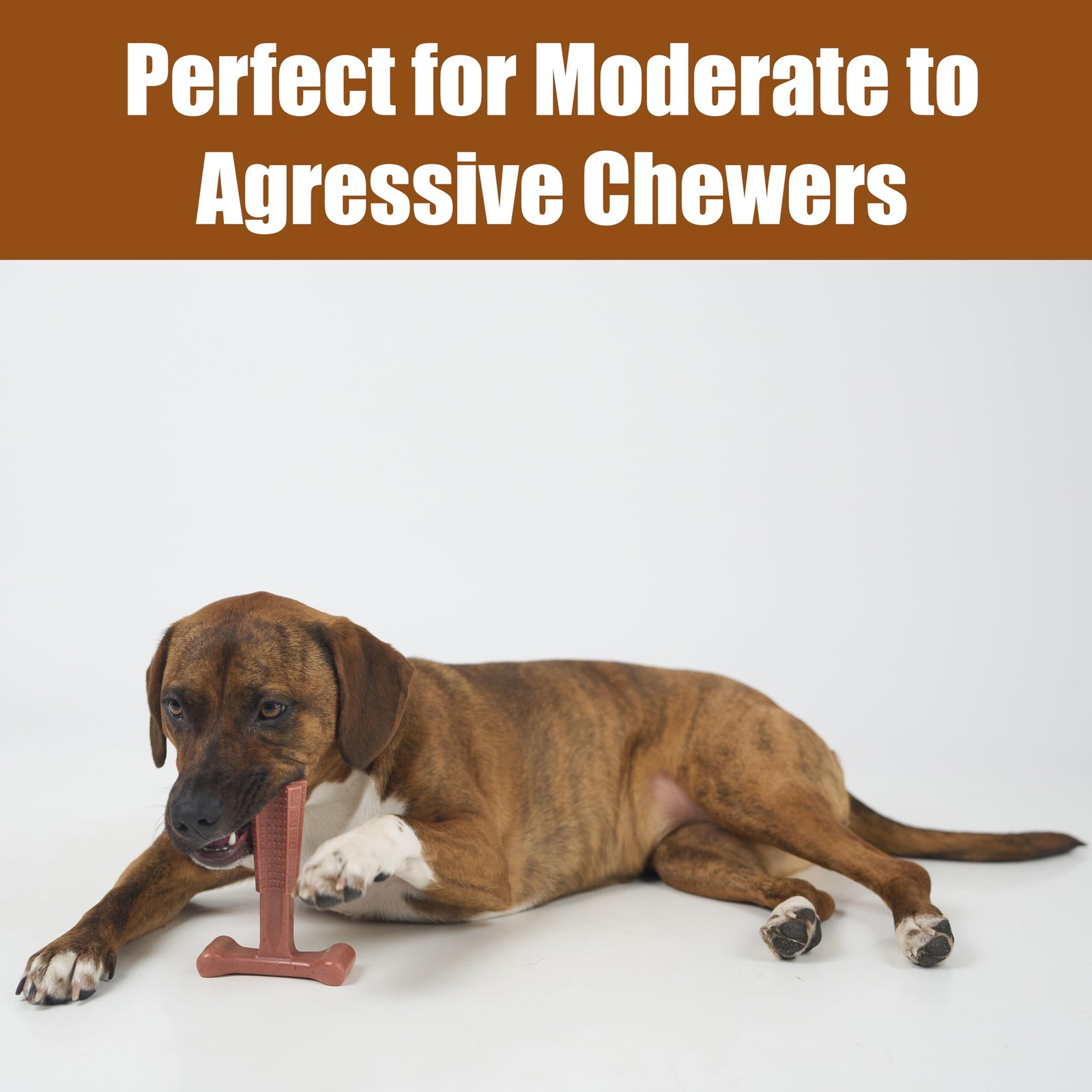 Durable T Bone Chew Toy For Aggressive Chewers Promotes Dental Health 7X5 Inch
