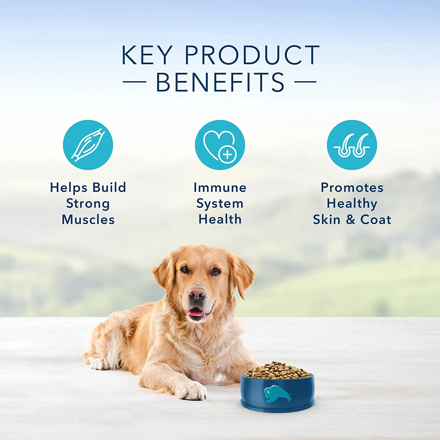 Blue Buffalo Life Protection Formula Natural Adult Dry Dog Food, Chicken and Bro
