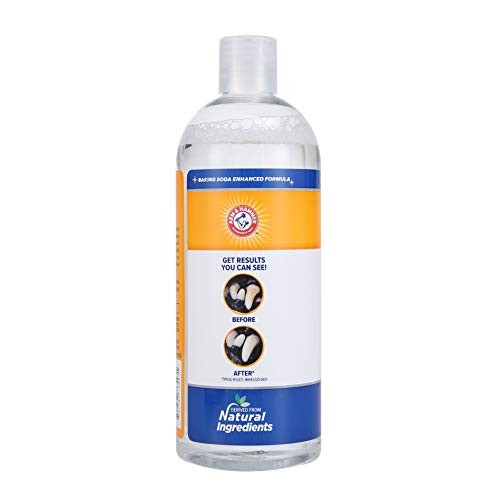 Arm & Hammer Dog Water Additive for Dental Care – Bad 16 Fl Oz (Pack of 1)