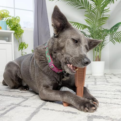 Durable Peanut Butter Dog Chew Toy for Aggressive Chewers Easy Grip Size Options