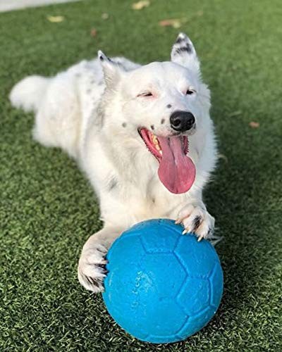 Jolly Pets Large Soccer Ball Floating-Bouncing Dog Toy, 8 inch Diameter, Ocea…