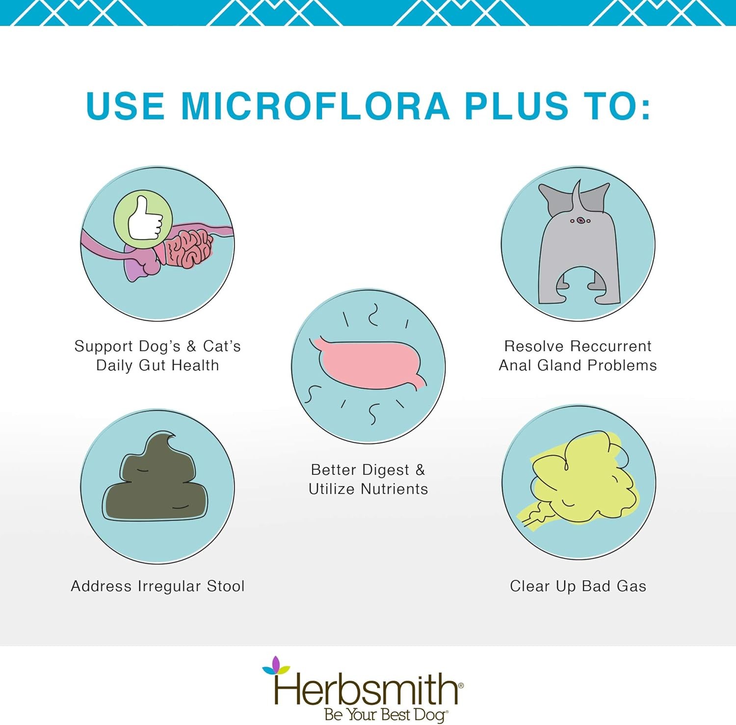 Herbsmith Microflora Plus – Probiotic & Digestive Aid for Dogs – 60 Capsules
